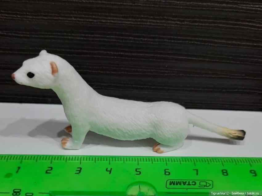 Хорёк — Миниатюра для кукол (фото 4)