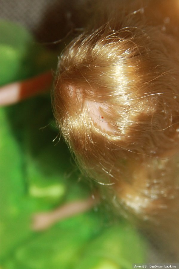 Винтажная подружка Ликки Изуми чан компании Такара (фото 5)