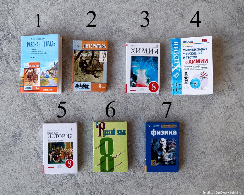Учебники 8класс (в масштабе 1:6) (фото 2)