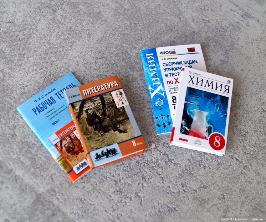 Учебники 8класс (в масштабе 1:6) (фото 4)