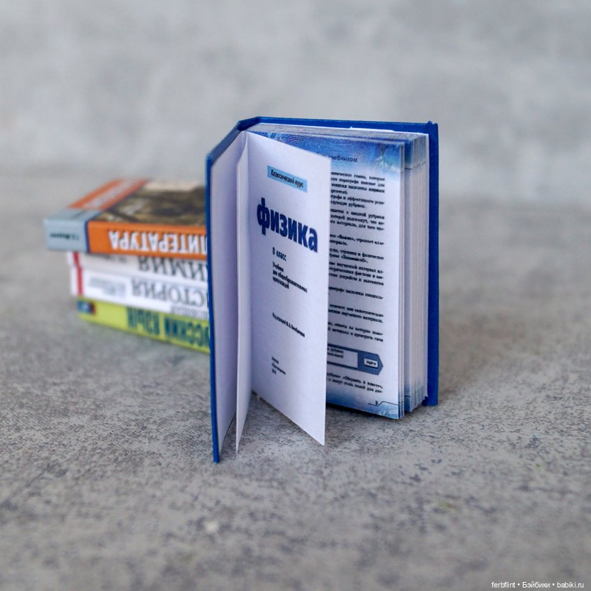 Учебники 8класс (в масштабе 1:6) (фото 5)