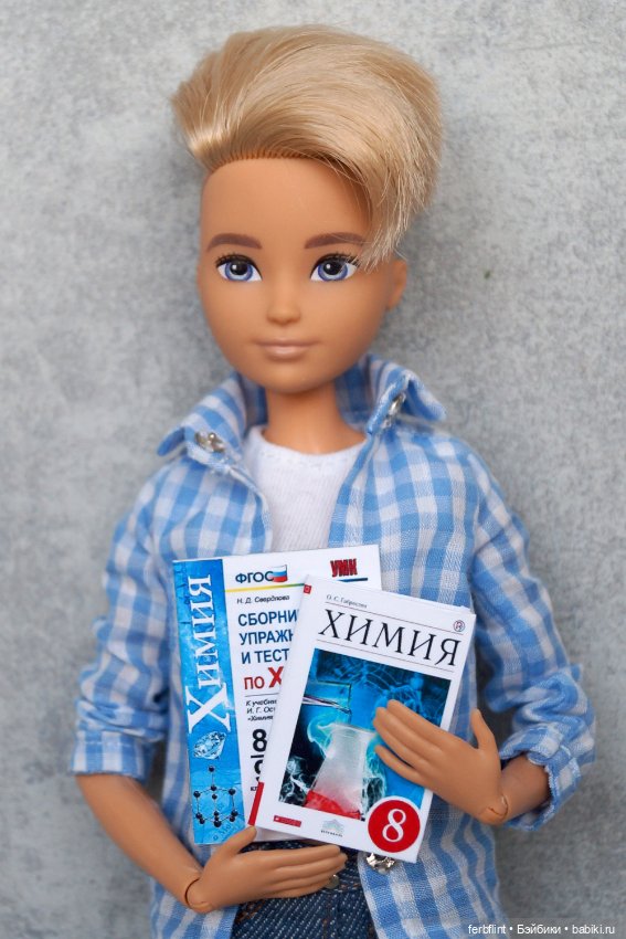 Учебники 8класс (в масштабе 1:6) (фото 6)