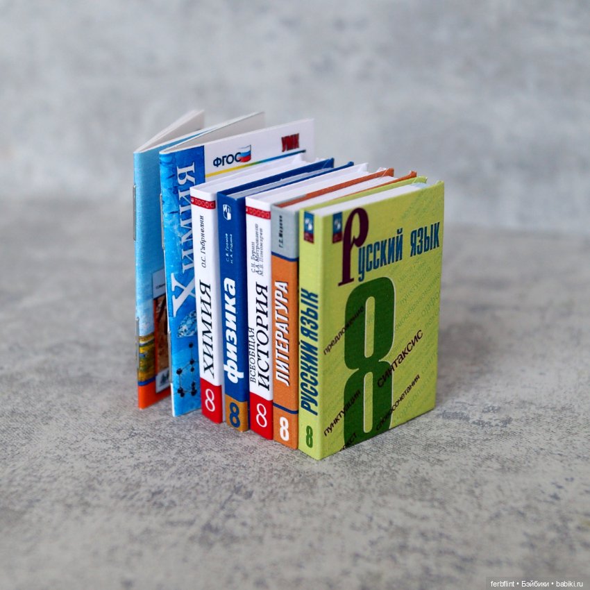 Учебники 8класс (в масштабе 1:6) (фото 3)