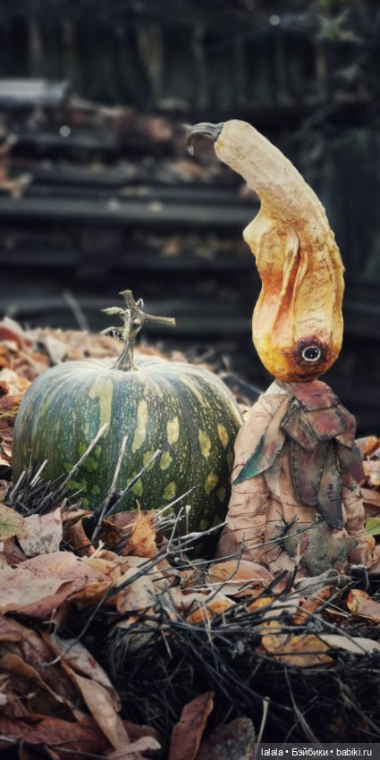 Цена снижена временно! Мумия тыквы Груняша (фото 5)