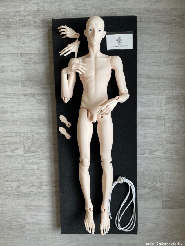 5th motif venitu — Куклы BJD