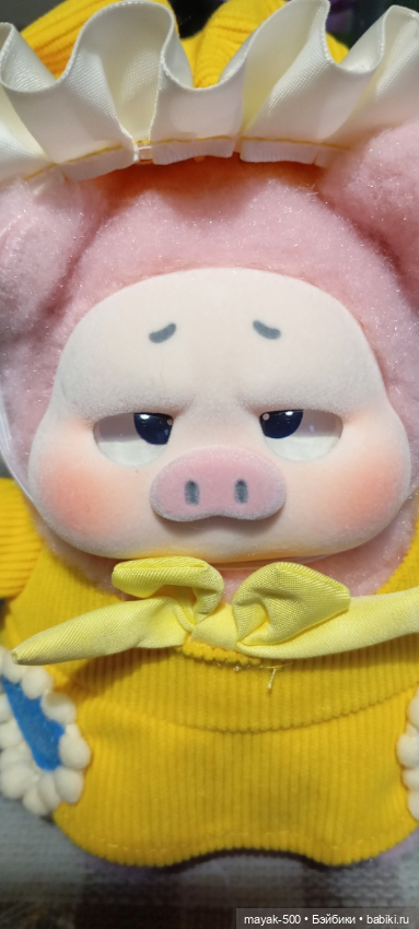 Забавная свинка в милом костюмчике (фото 3)