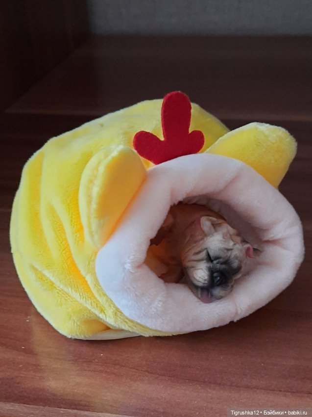 Домики для питомцев # — Миниатюра для кукол