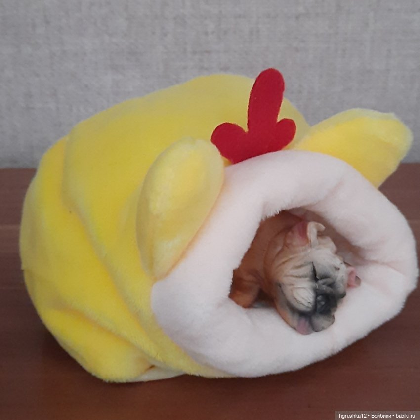 Домики для питомцев # — Миниатюра для кукол (фото 8)