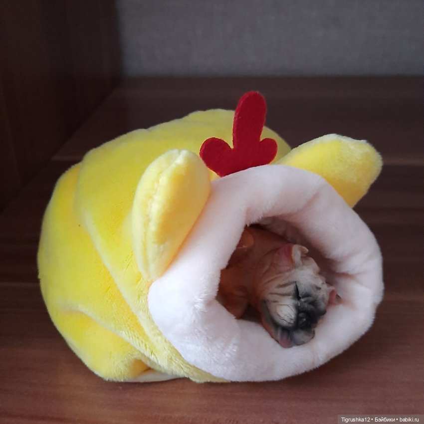 Домики для питомцев # — Миниатюра для кукол (фото 6)