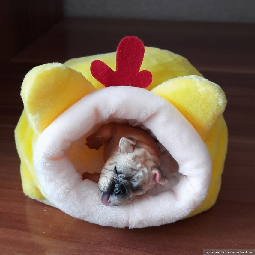 Домики для питомцев # — Миниатюра для кукол (фото 2)