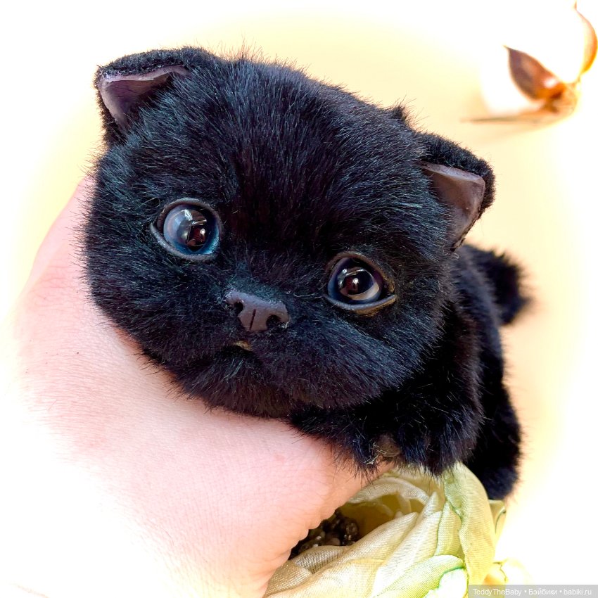 Посты с сайта babiki.ru