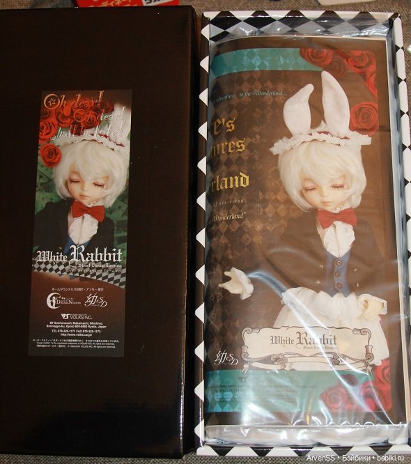 VOLKS Super Dollfie Young SD Boy WHITE Rabbit Sweet Dream ver. SET Dorupa 7 LTD (фото 2)