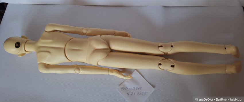 Продам Dollshe Bernard — Куклы BJD (фото 2)