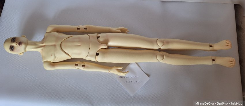 Продам Dollshe Bernard — Куклы BJD