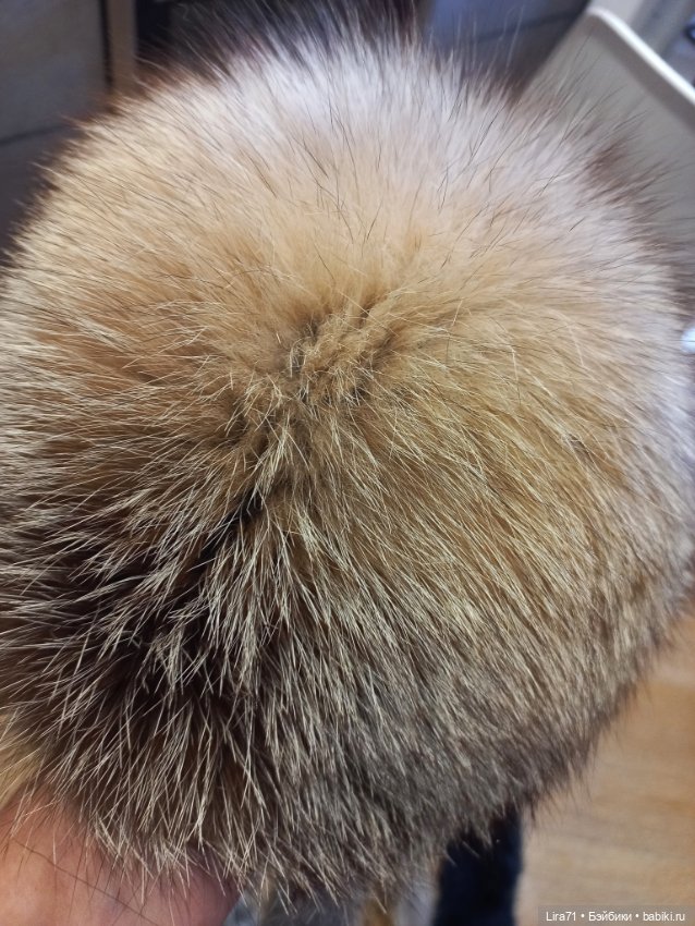 Мех чернобурой лисы и енота (фото 6)