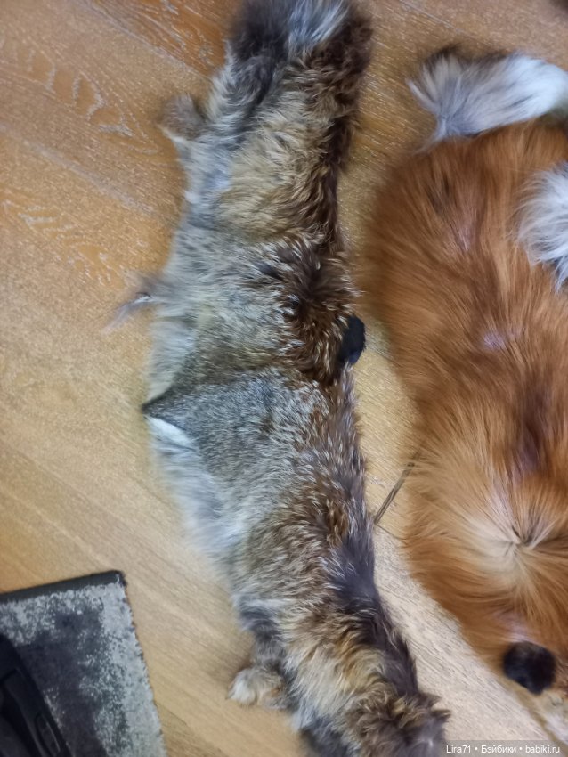 Мех лисицы натуральный — Ткани (фото 5)