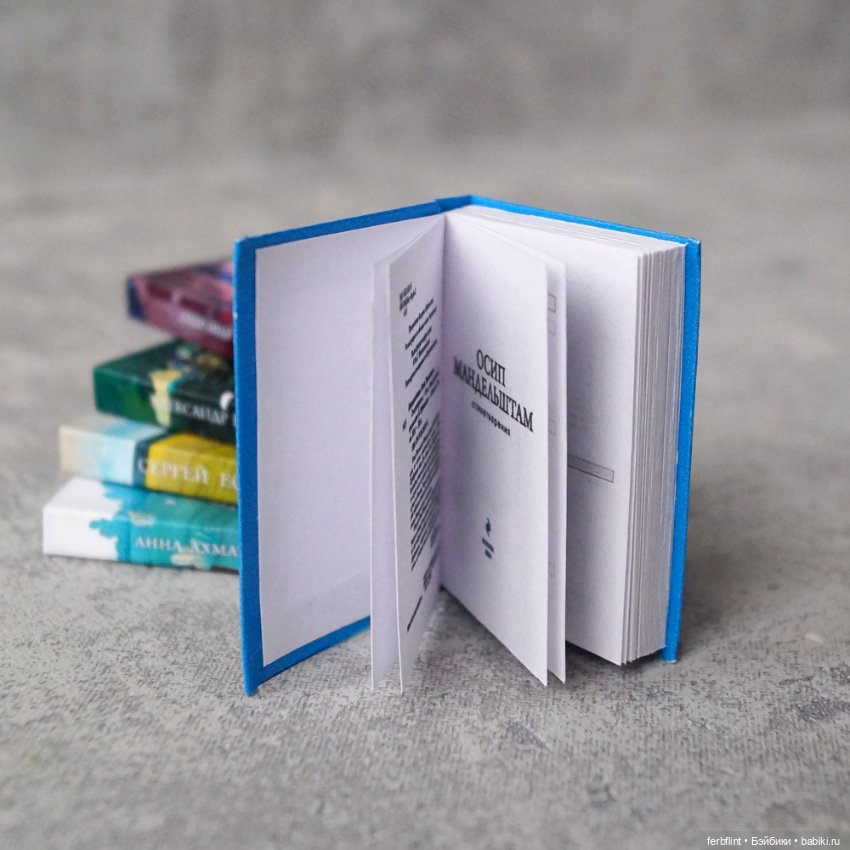 Книги серии "Стихотворения" №1 (масштаб 1:6) (фото 4)