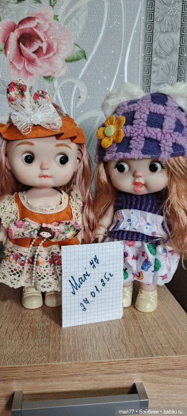 Две подружки лотом — Игровые куклы (фото 8)