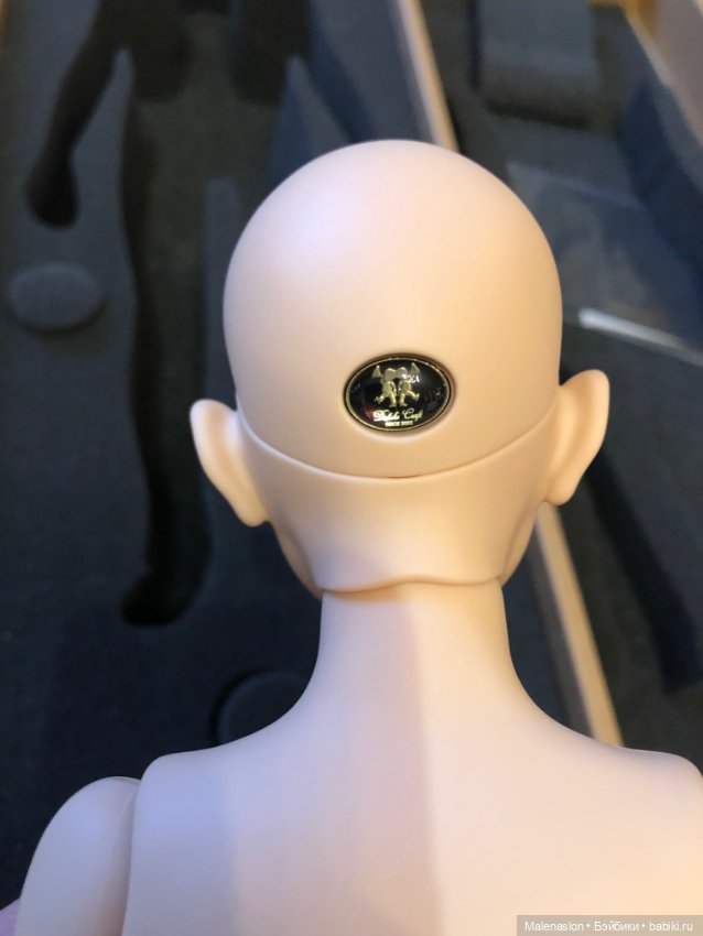 Dollshe Craft Robin bjd — Куклы BJD (фото 6)