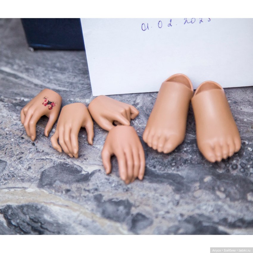 Продам FeePle60 - Cygne — Куклы BJD (фото 2)