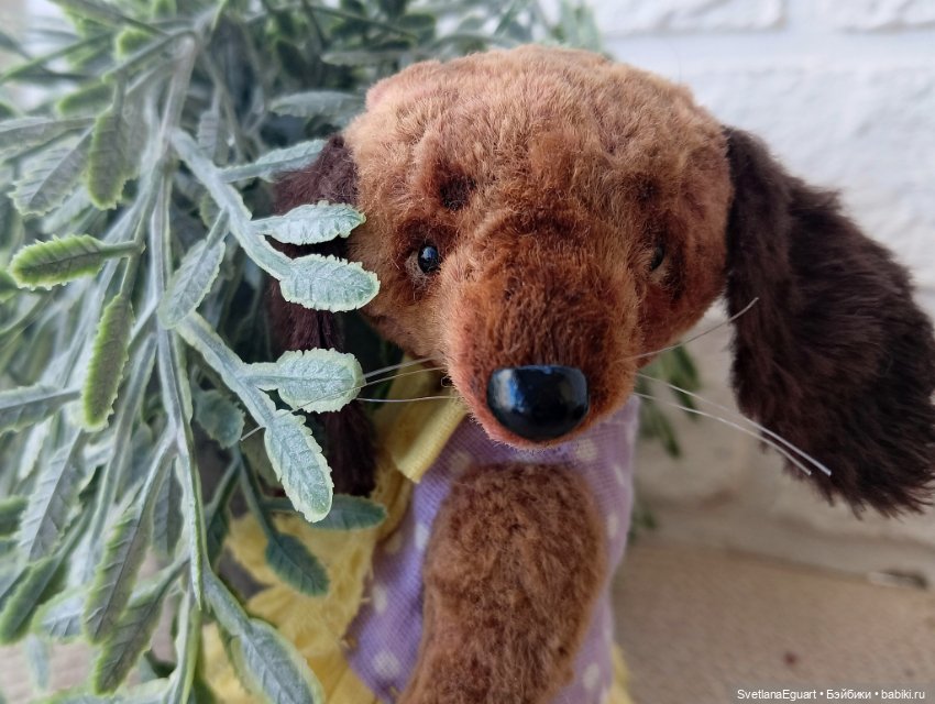Тедди такса Софи — Авторские игрушки (фото 3)
