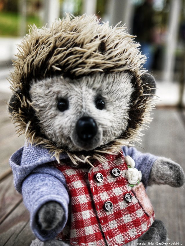 Ëжик тедди в клетчатой курточке (фото 5)