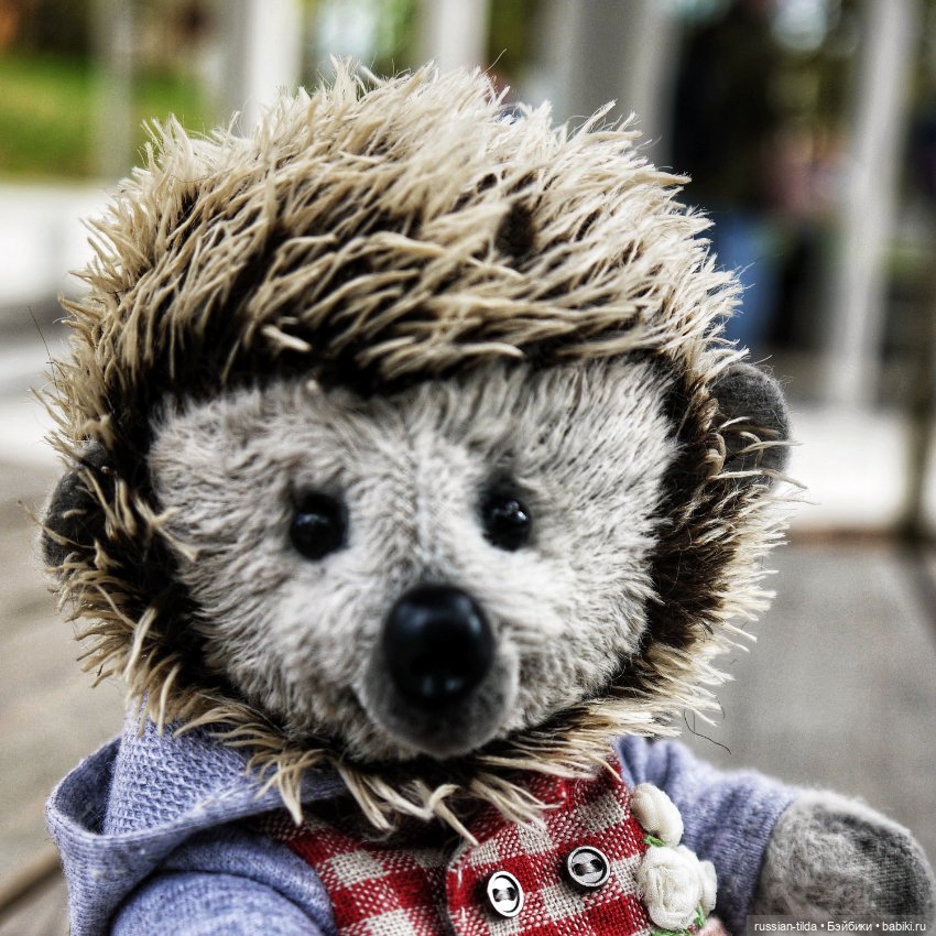 Ëжик тедди в клетчатой курточке (фото 6)