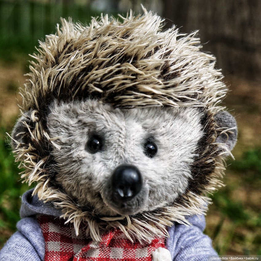 Ëжик тедди в клетчатой курточке (фото 7)