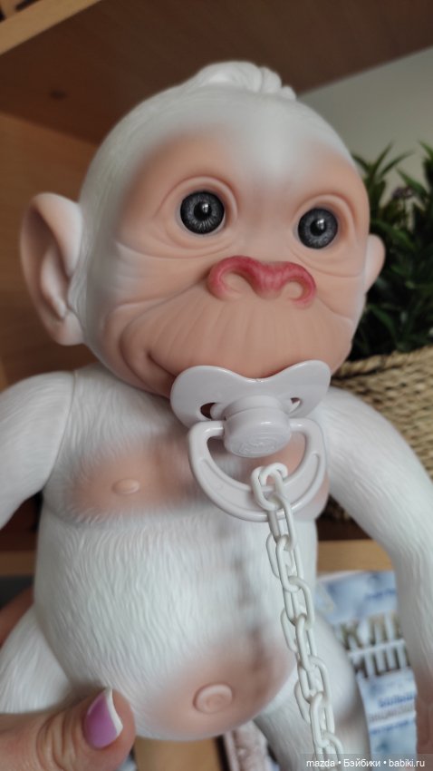 Очаровательная обезьянка шимпанзе, альбинос с голубыми глазами) (фото 3)