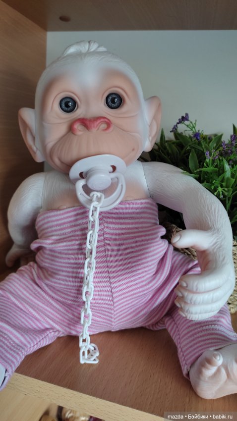 Очаровательная обезьянка шимпанзе, альбинос с голубыми глазами) (фото 8)