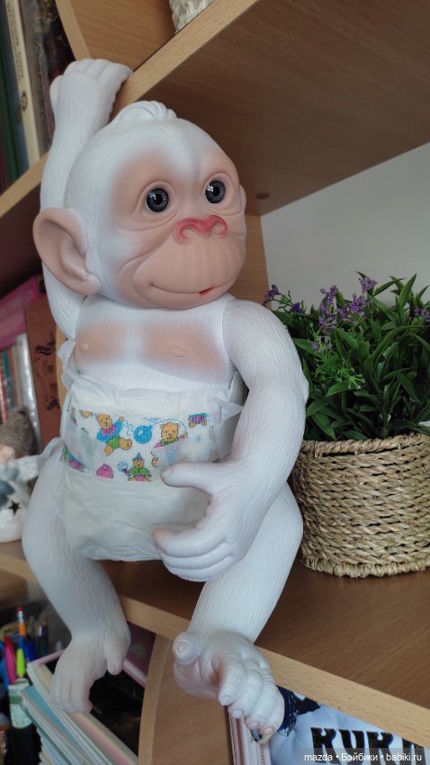 Очаровательная обезьянка шимпанзе, альбинос с голубыми глазами)