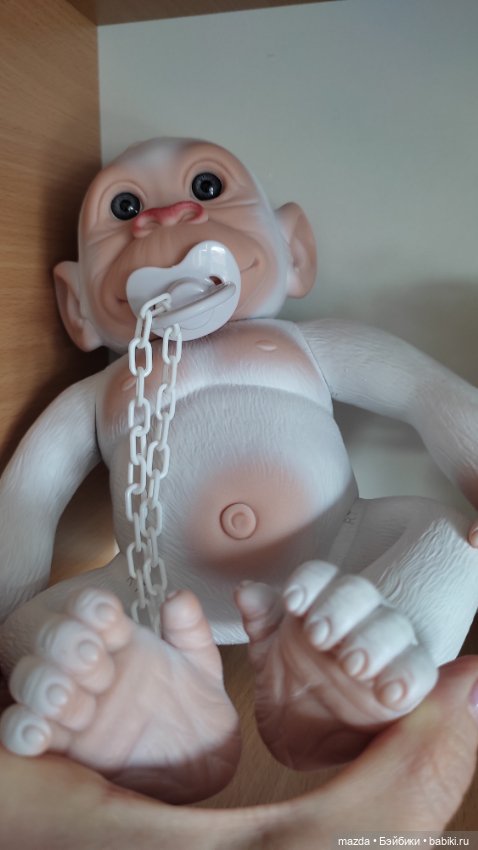 Очаровательная обезьянка шимпанзе, альбинос с голубыми глазами) (фото 7)