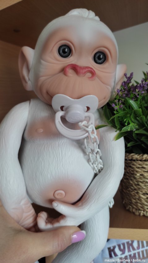 Очаровательная обезьянка шимпанзе, альбинос с голубыми глазами) (фото 5)