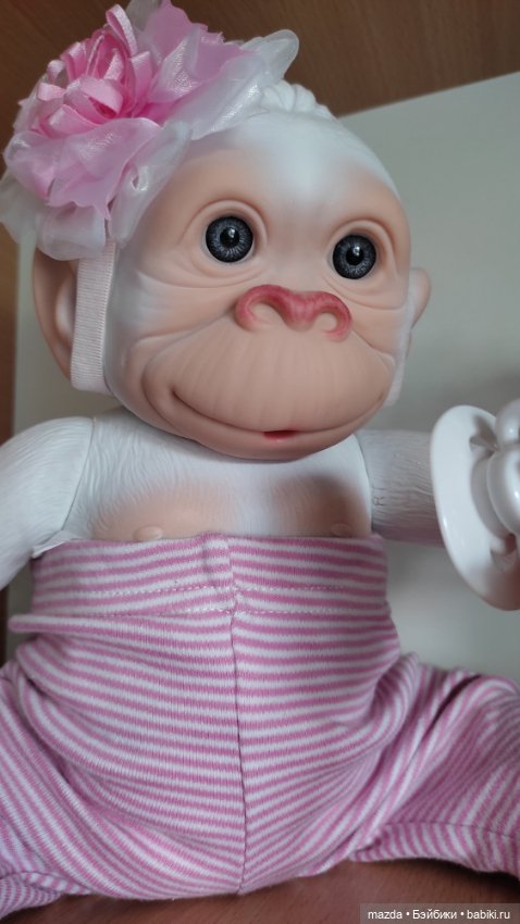 Очаровательная обезьянка шимпанзе, альбинос с голубыми глазами) (фото 4)