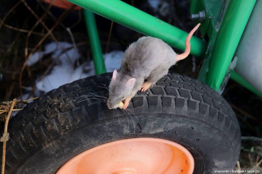 Крыска — Авторские игрушки (фото 2)