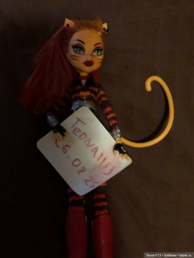 Монстер хай Торалей "Катастрофа" (фото 2)