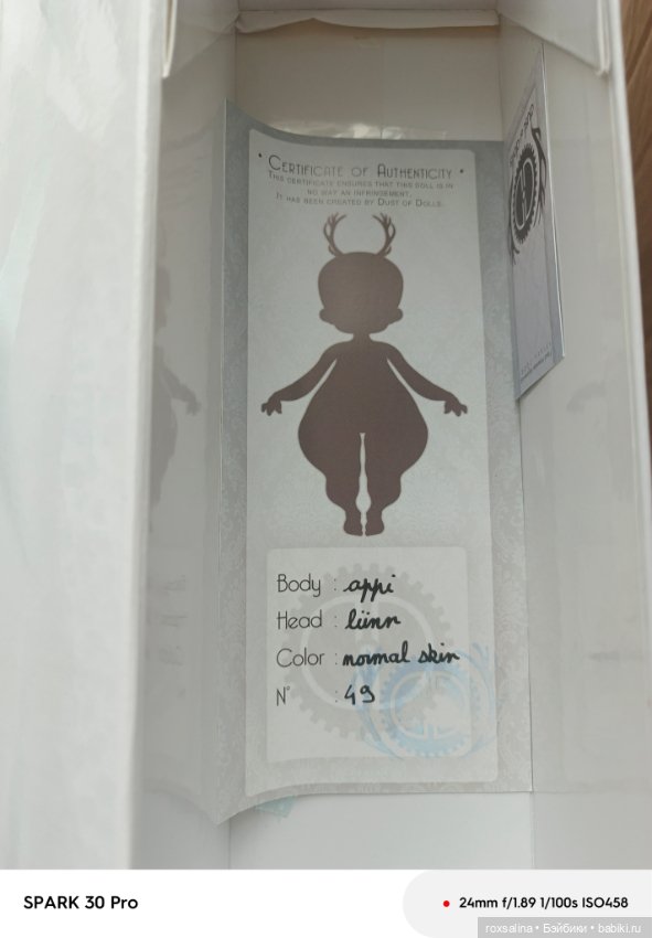 Dust of dolls Lünn — Куклы BJD (фото 7)