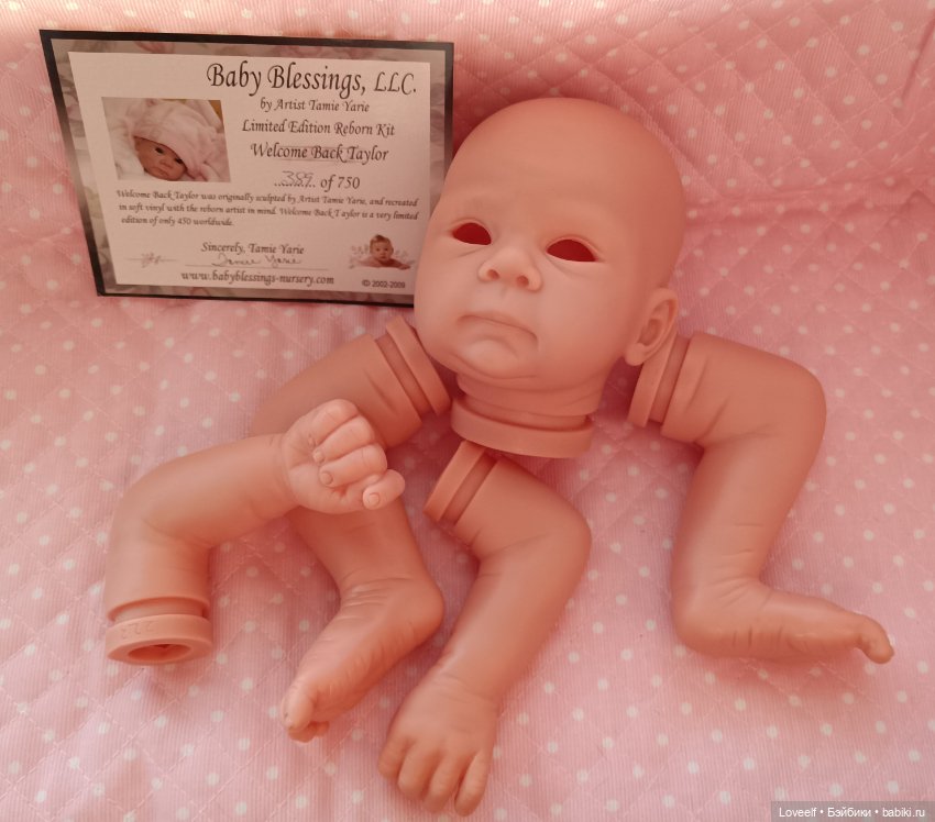 Welcome Back Taylor reborn kit by Tamie Yarie