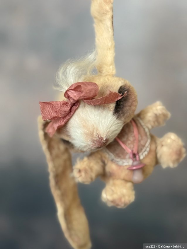 Спящий зайчик Ани Колыхаловой (фото 4)