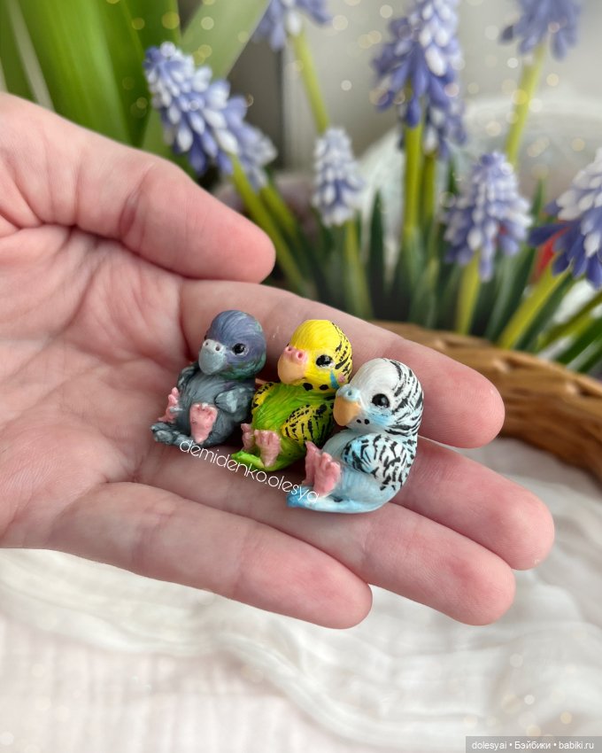 Волнистый попугайчик Мако в орешке (фото 4)