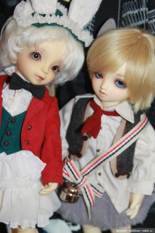 Лимитный VOLKS Super Dollfie Young SD Boy WHITE Rabbit SET (фото 8)