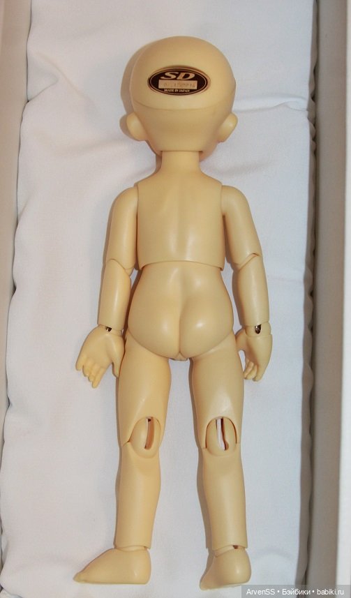 Volks Yo-SD Girl Ann Sweet Dream ver (фото 2)