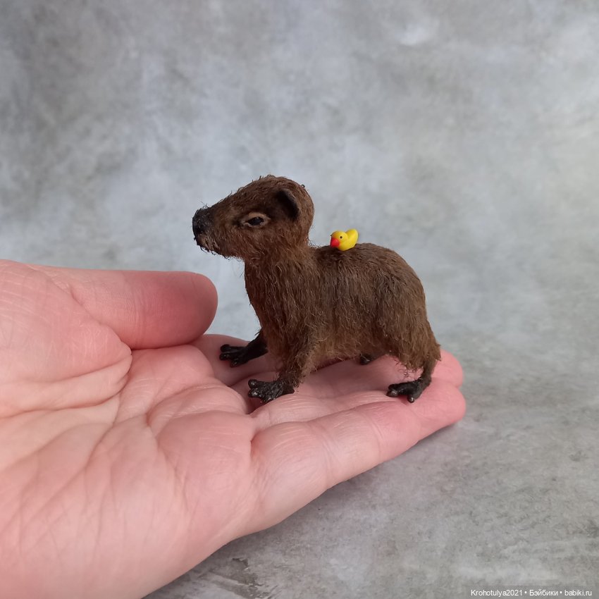 Миниатюрная капибара в ванной (фото 4)