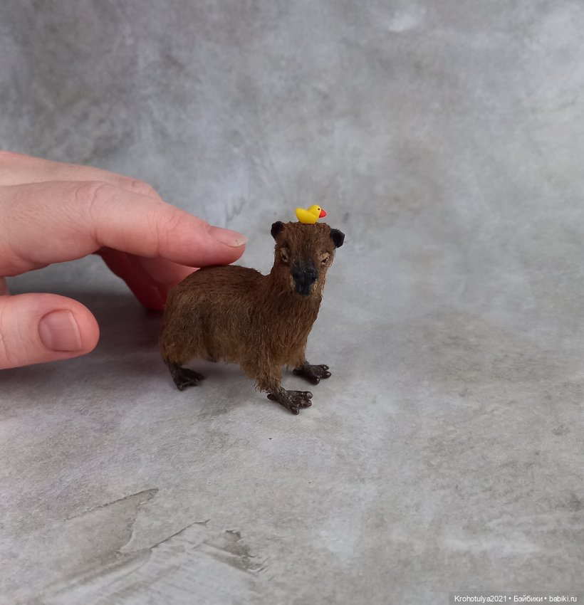 Миниатюрная капибара в ванной (фото 3)