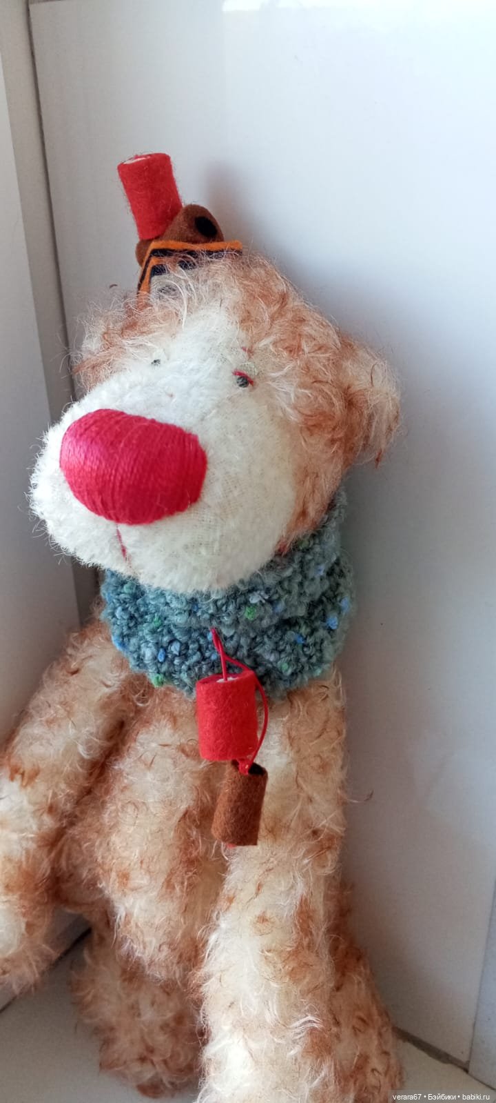 Красавчик Wachsmuth от Zwergnase. 2003 год (фото 4)