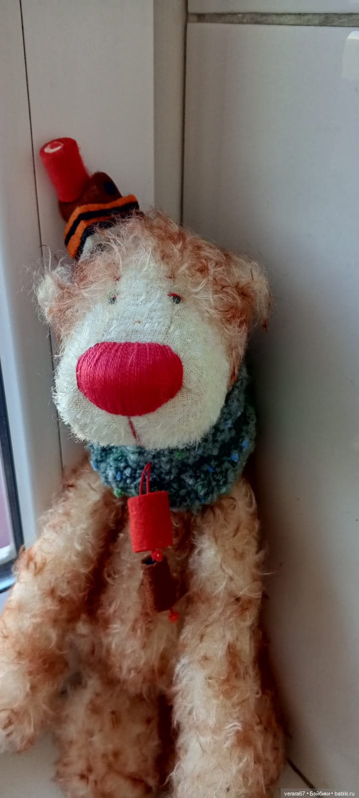 Красавчик Wachsmuth от Zwergnase. 2003 год (фото 9)