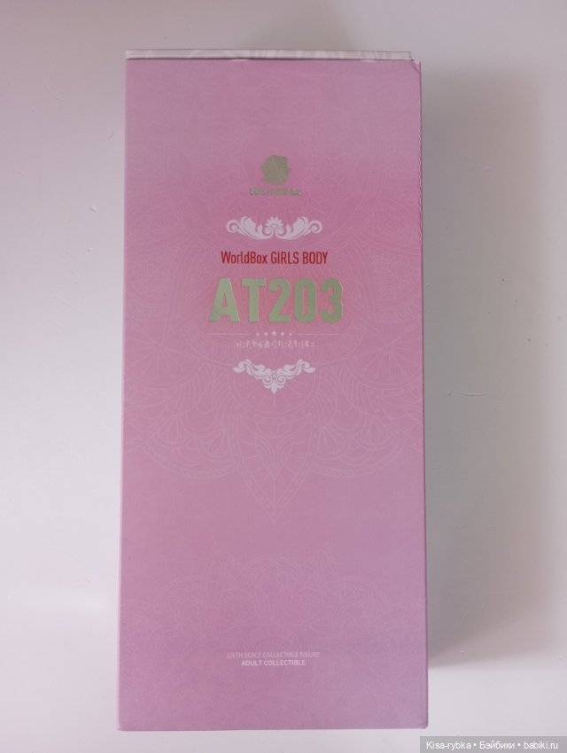 Прекрасная дева на реалистичном теле Worldbox 1/6 AT203 (фото 5)