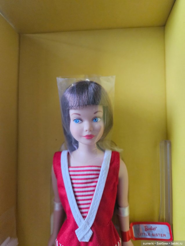 Skipper 60th Anniversary Barbie (фото 3)