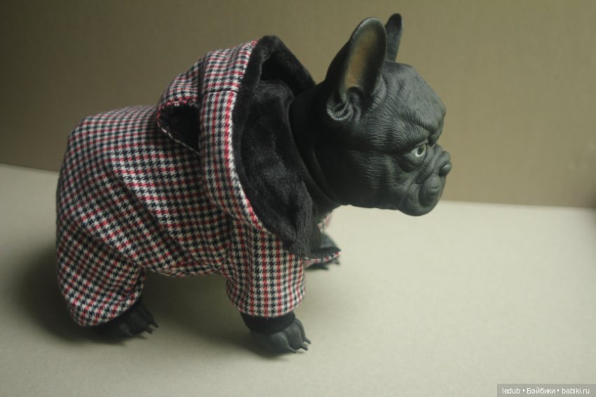 Щенок французского бульдога (фото 6)