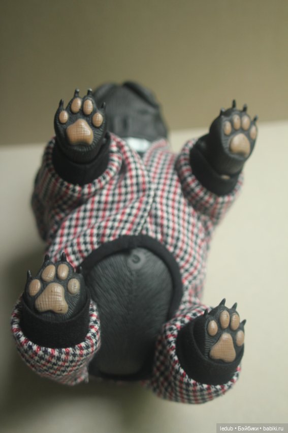 Щенок французского бульдога (фото 8)